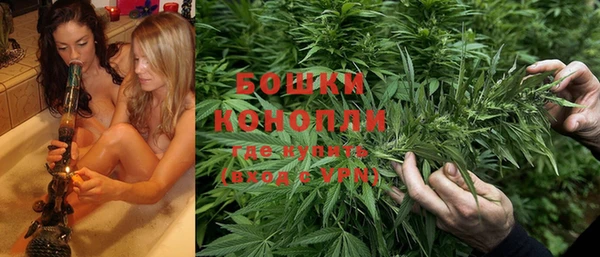 ешки Каменногорск