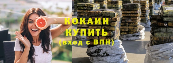 хмурый Зеленокумск