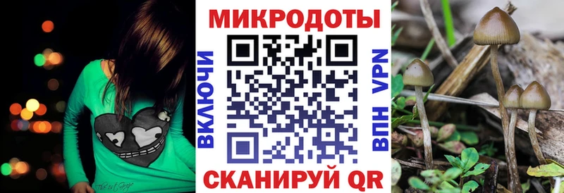 Галлюциногенные грибы Cubensis  Купить закладки  Козловка 